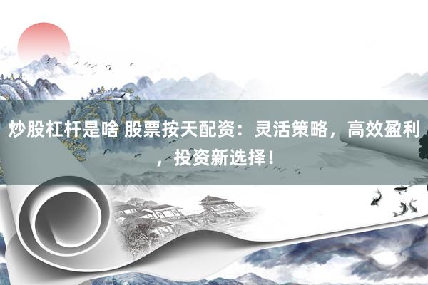炒股杠杆是啥 股票按天配资：灵活策略，高效盈利，投资新选择！
