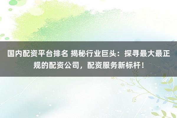 国内配资平台排名 揭秘行业巨头：探寻最大最正规的配资公司，配资服务新标杆！