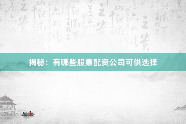 揭秘：有哪些股票配资公司可供选择