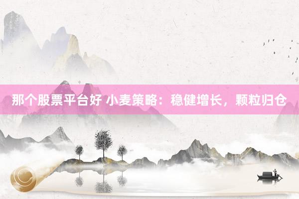 那个股票平台好 小麦策略：稳健增长，颗粒归仓