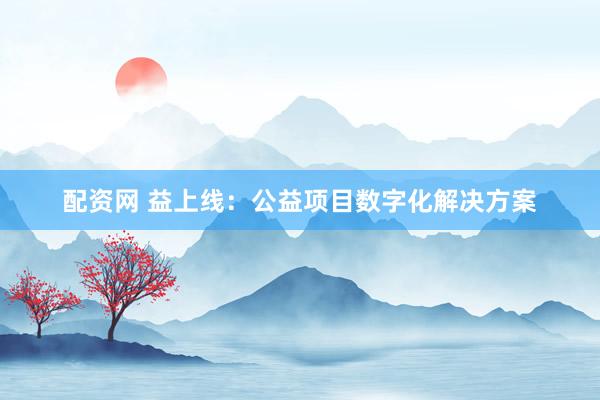配资网 益上线：公益项目数字化解决方案