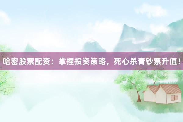哈密股票配资：掌捏投资策略，死心杀青钞票升值！