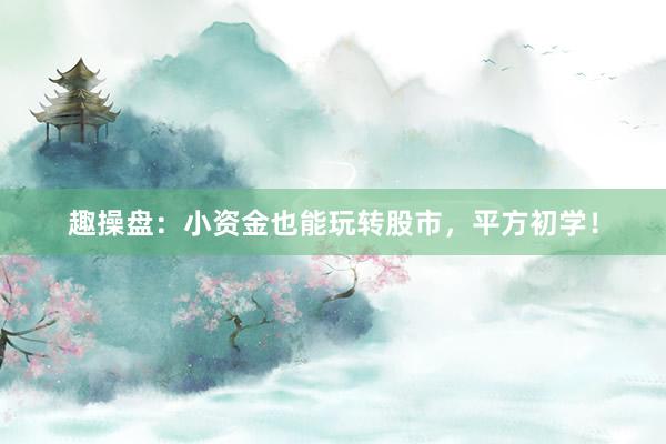 趣操盘：小资金也能玩转股市，平方初学！