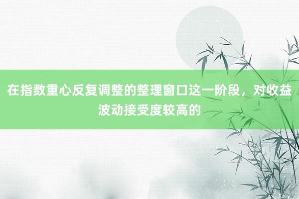 在指数重心反复调整的整理窗口这一阶段，对收益波动接受度较高的