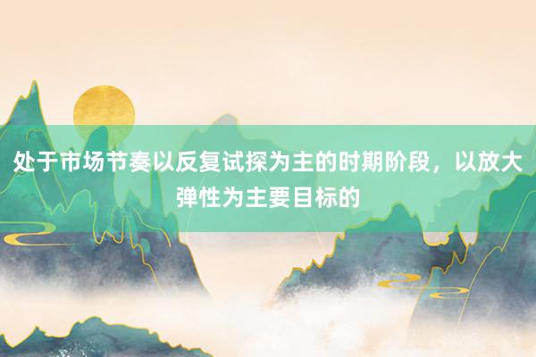 处于市场节奏以反复试探为主的时期阶段，以放大弹性为主要目标的