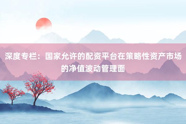 深度专栏：国家允许的配资平台在策略性资产市场的净值波动管理面