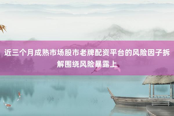 近三个月成熟市场股市老牌配资平台的风险因子拆解围绕风险暴露上