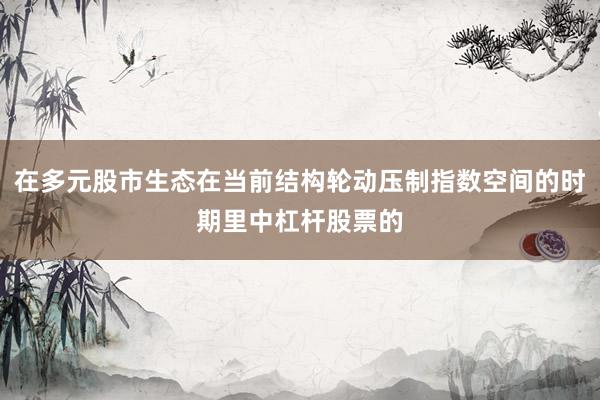 在多元股市生态在当前结构轮动压制指数空间的时期里中杠杆股票的