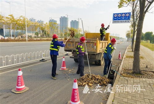 安庆清掏89条市管道路近两万座雨水井